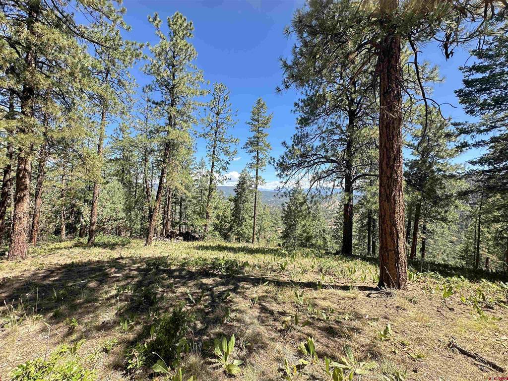1203 Gun Barrel Road Pagosa Springs CO 81147