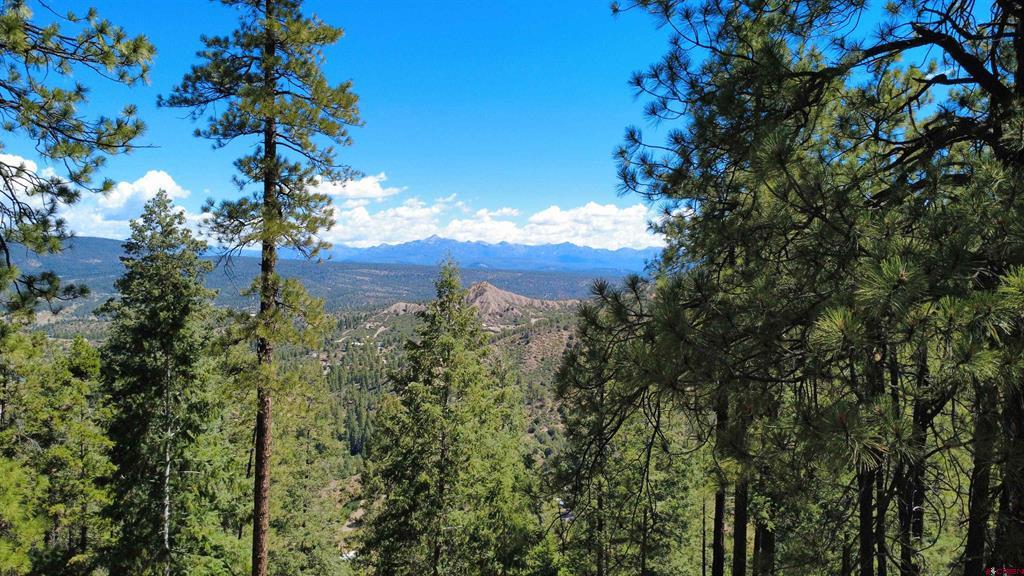 1203 Gun Barrel Road Pagosa Springs CO 81147