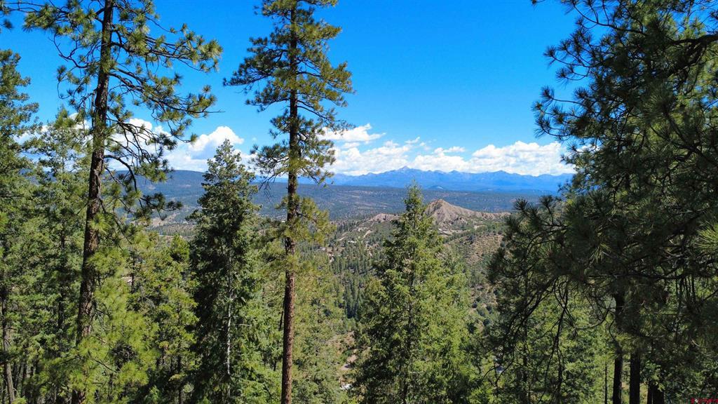 1203 Gun Barrel Road Pagosa Springs CO 81147
