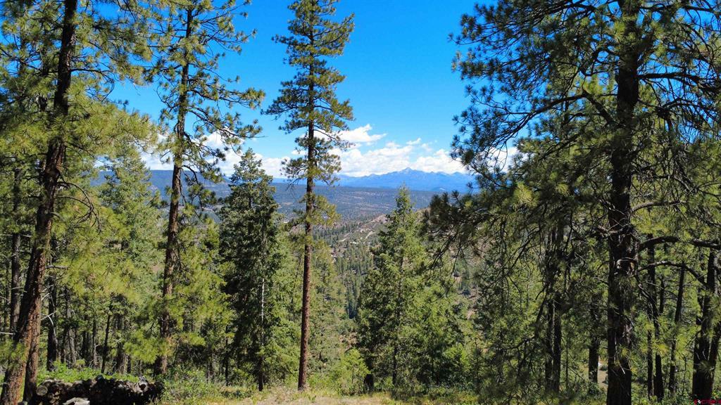 1203 Gun Barrel Road Pagosa Springs CO 81147
