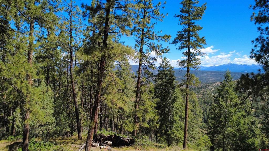 1203 Gun Barrel Road Pagosa Springs CO 81147