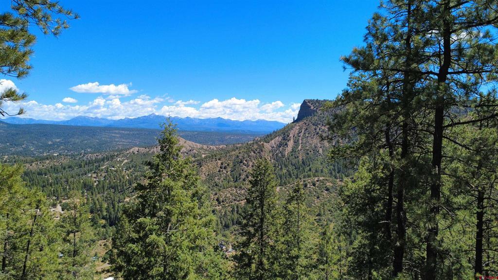 1203 Gun Barrel Road Pagosa Springs CO 81147