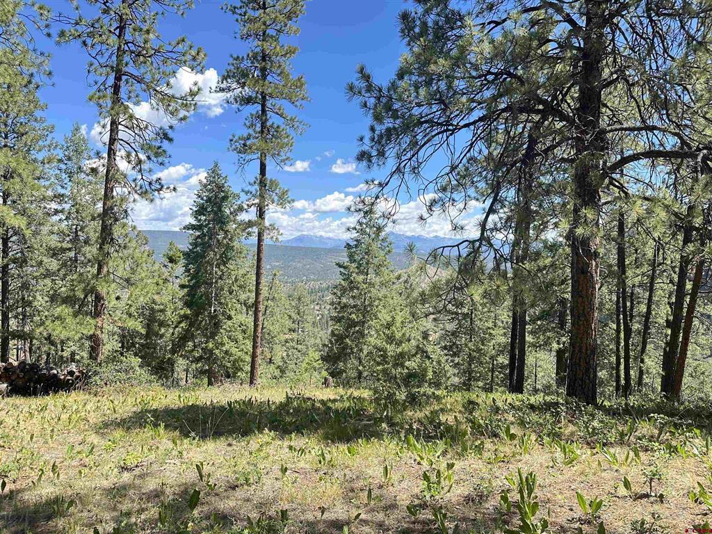 1203 Gun Barrel Road Pagosa Springs CO 81147
