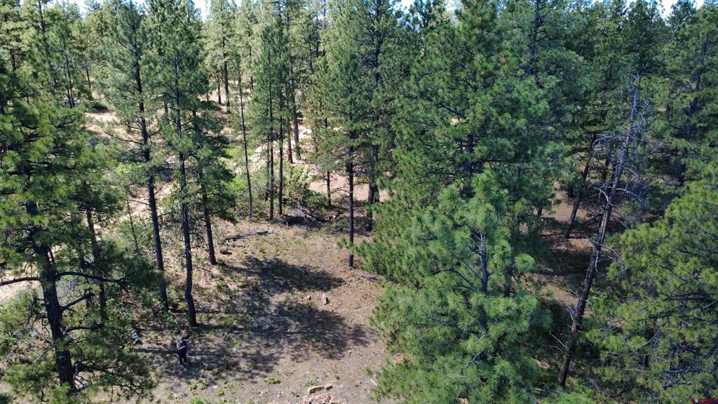 1203 Gun Barrel Road Pagosa Springs CO 81147