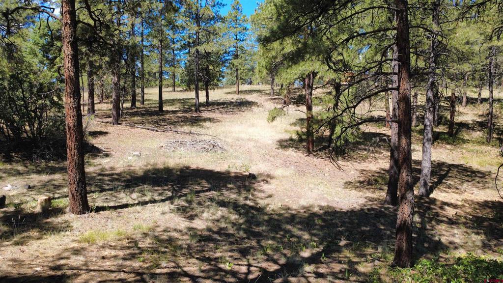 1203 Gun Barrel Road Pagosa Springs CO 81147