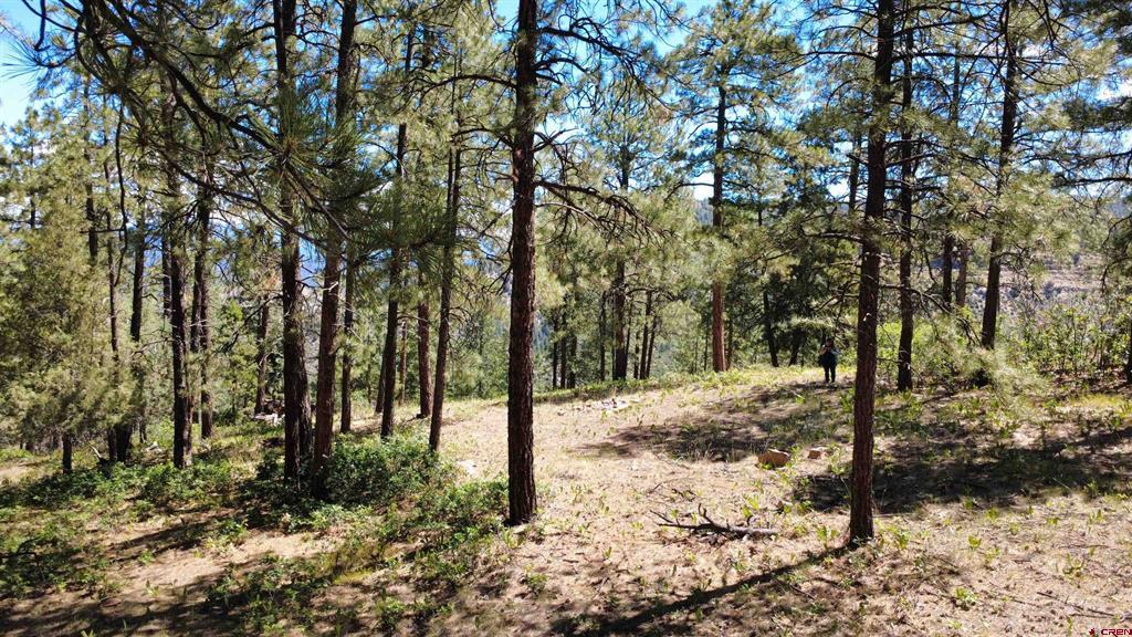 1203 Gun Barrel Road Pagosa Springs CO 81147