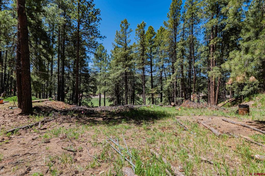 171 Snowbird Court Bayfield CO 81122
