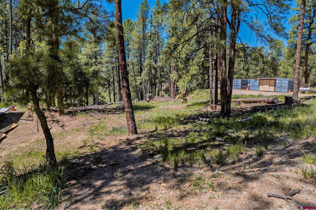 171 Snowbird Court Bayfield CO 81122
