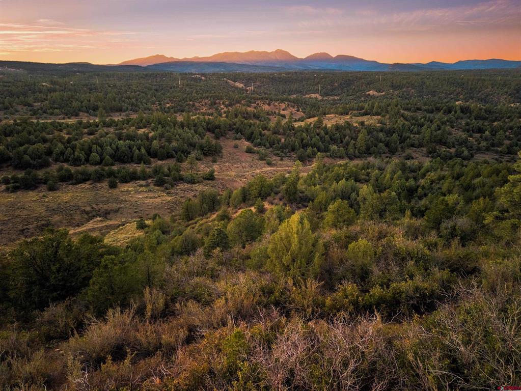 Tbd Silvermine Drive Durango CO 81303