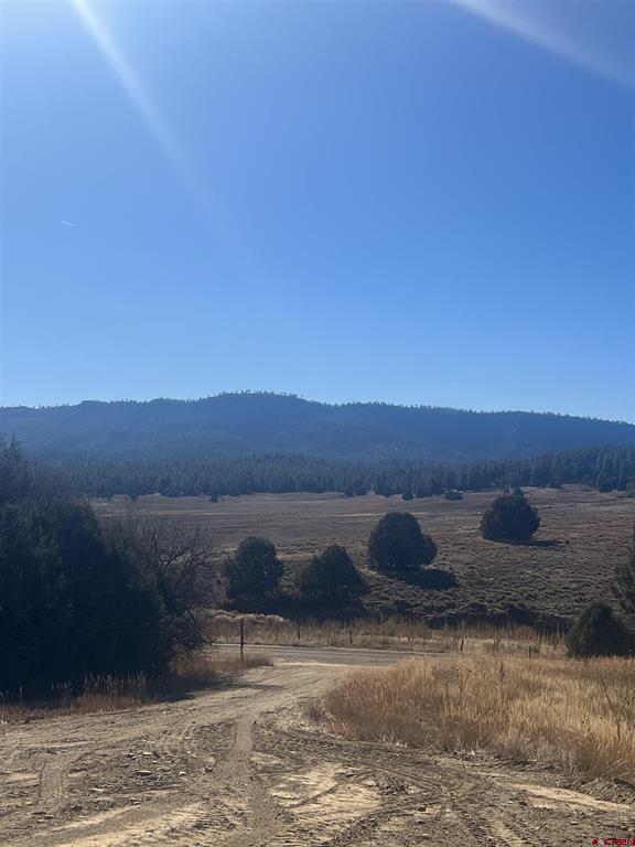 3924 County Road 700 Pagosa Springs CO 81147
