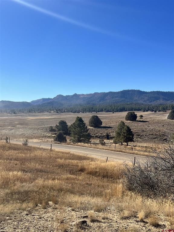 3924 County Road 700 Pagosa Springs CO 81147