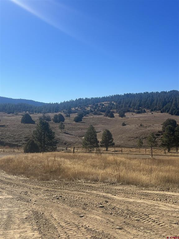 3924 County Road 700 Pagosa Springs CO 81147