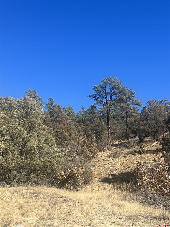 3924 County Road 700 Pagosa Springs CO 81147