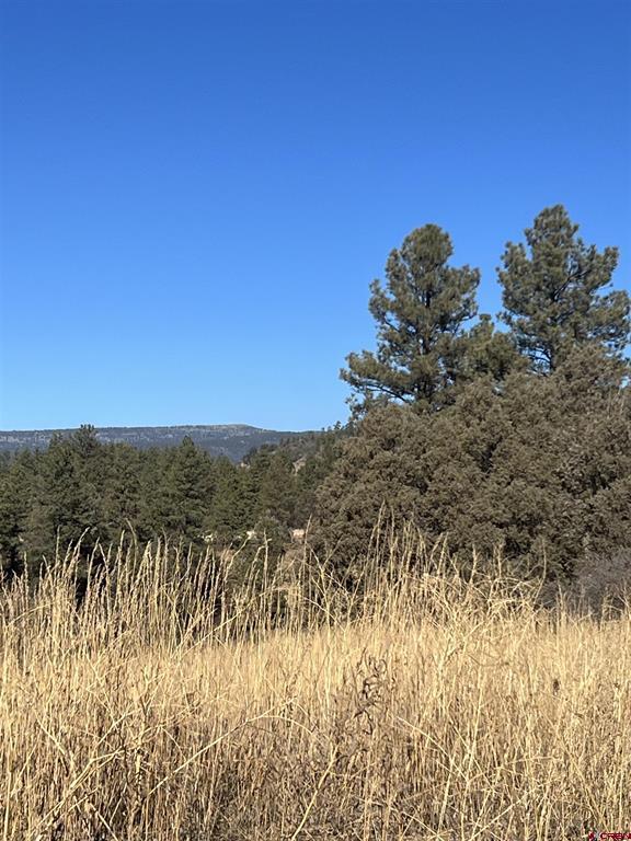 3924 County Road 700 Pagosa Springs CO 81147