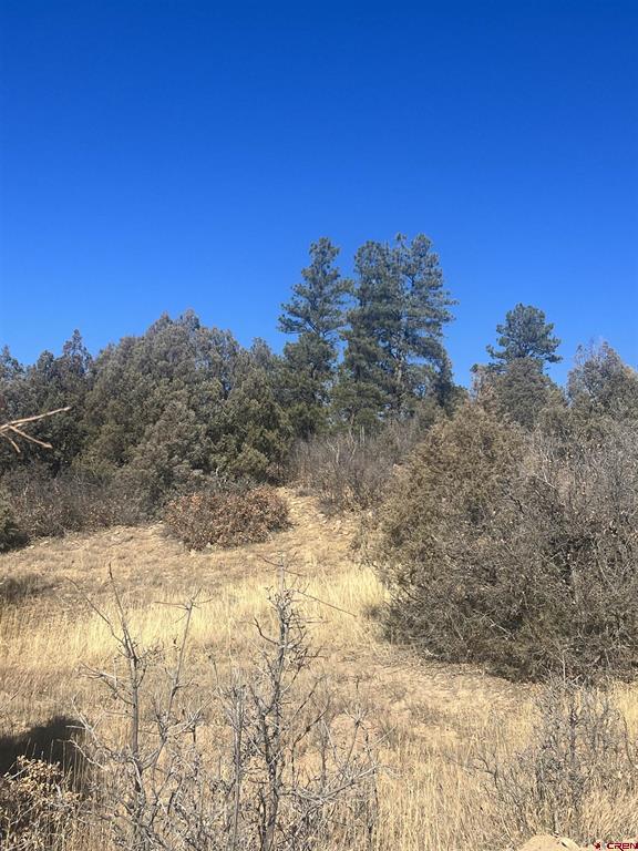 3924 County Road 700 Pagosa Springs CO 81147