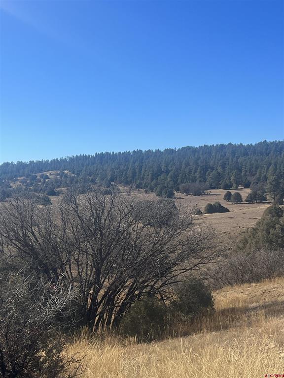 3924 County Road 700 Pagosa Springs CO 81147
