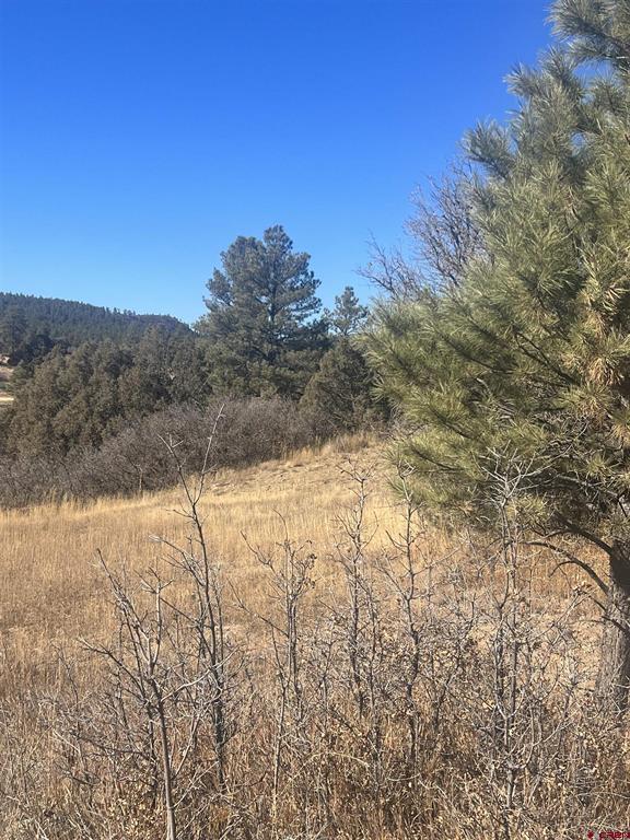 3924 County Road 700 Pagosa Springs CO 81147