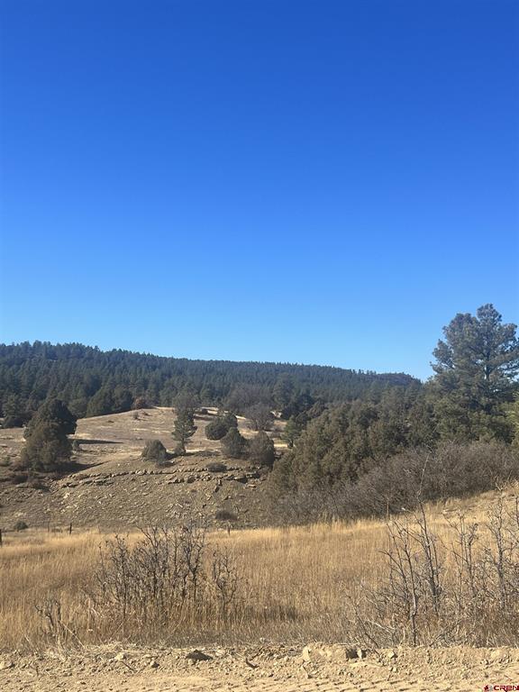 3924 County Road 700 Pagosa Springs CO 81147