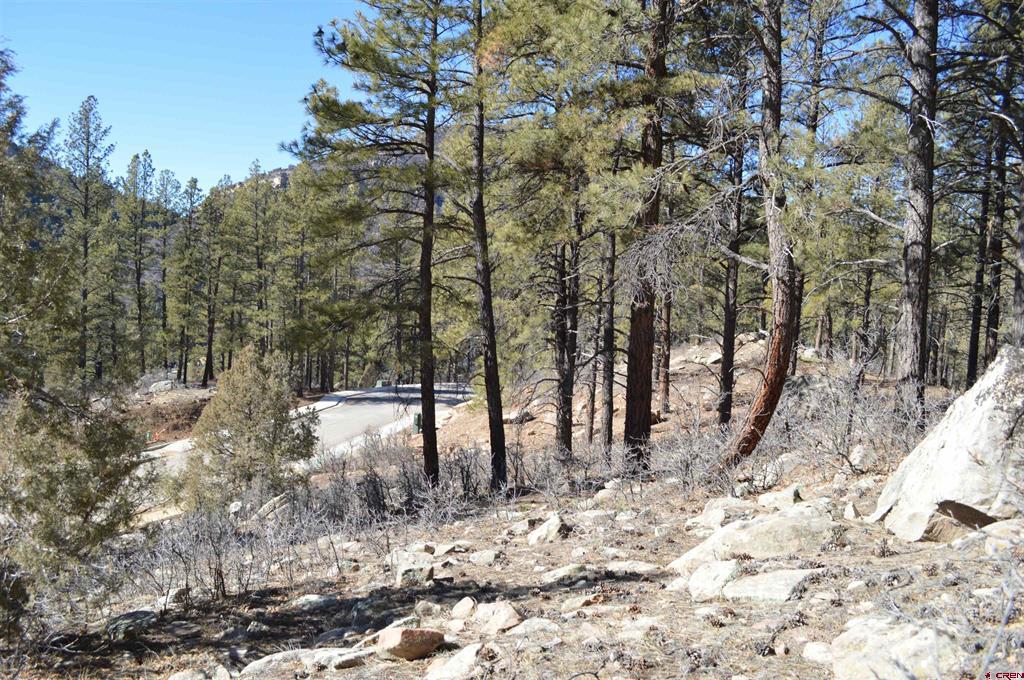 819 Tipple Avenue (Lot 147) Durango CO 81301