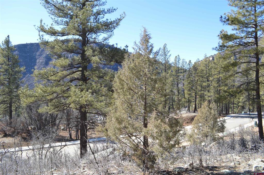 819 Tipple Avenue (Lot 147) Durango CO 81301