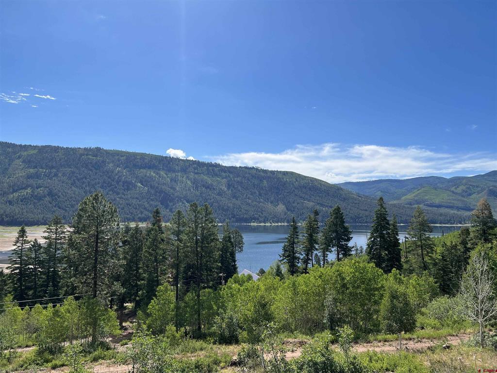 40 Freeman Creek Drive Bayfield CO 81122