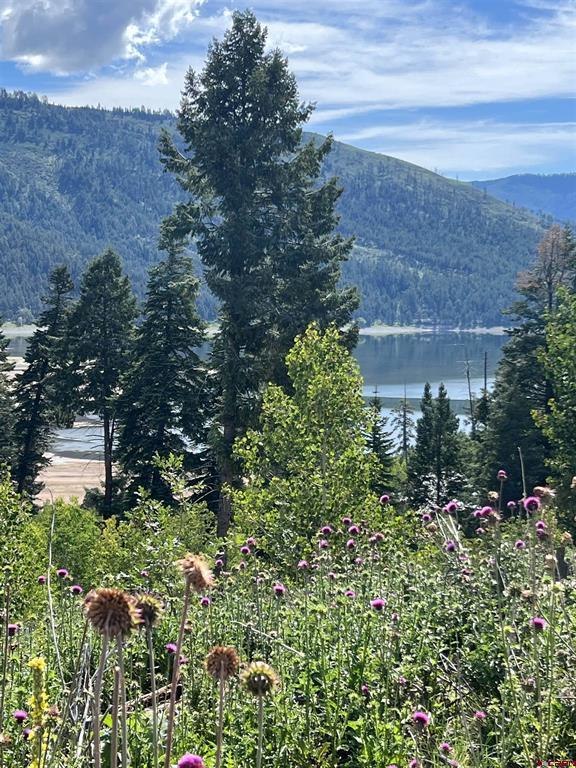 40 Freeman Creek Drive Bayfield CO 81122