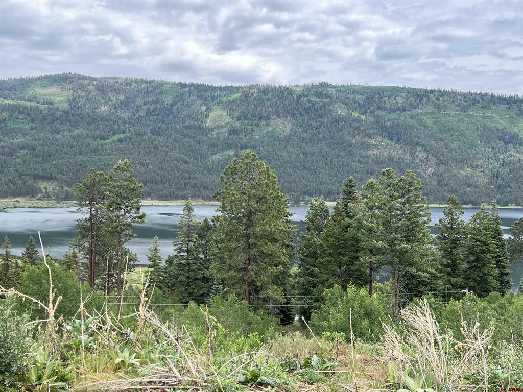 40 Freeman Creek Drive Bayfield CO 81122
