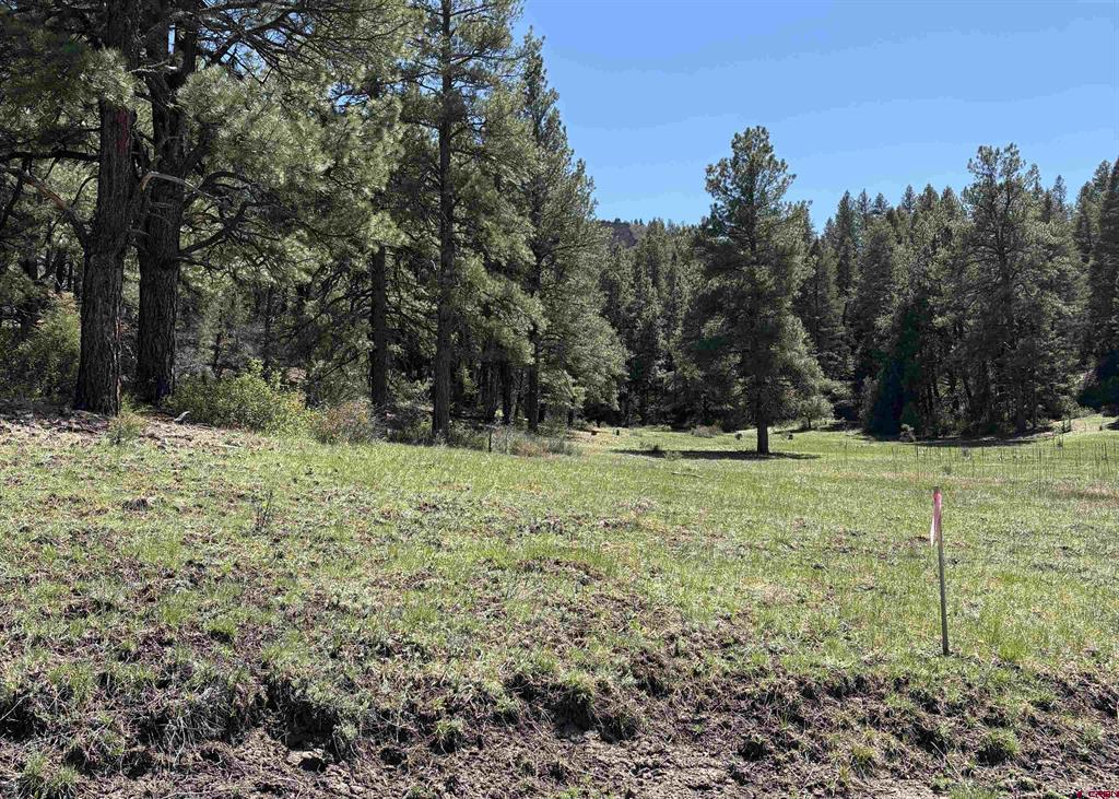 X Winterwood Pagosa Springs CO 81147