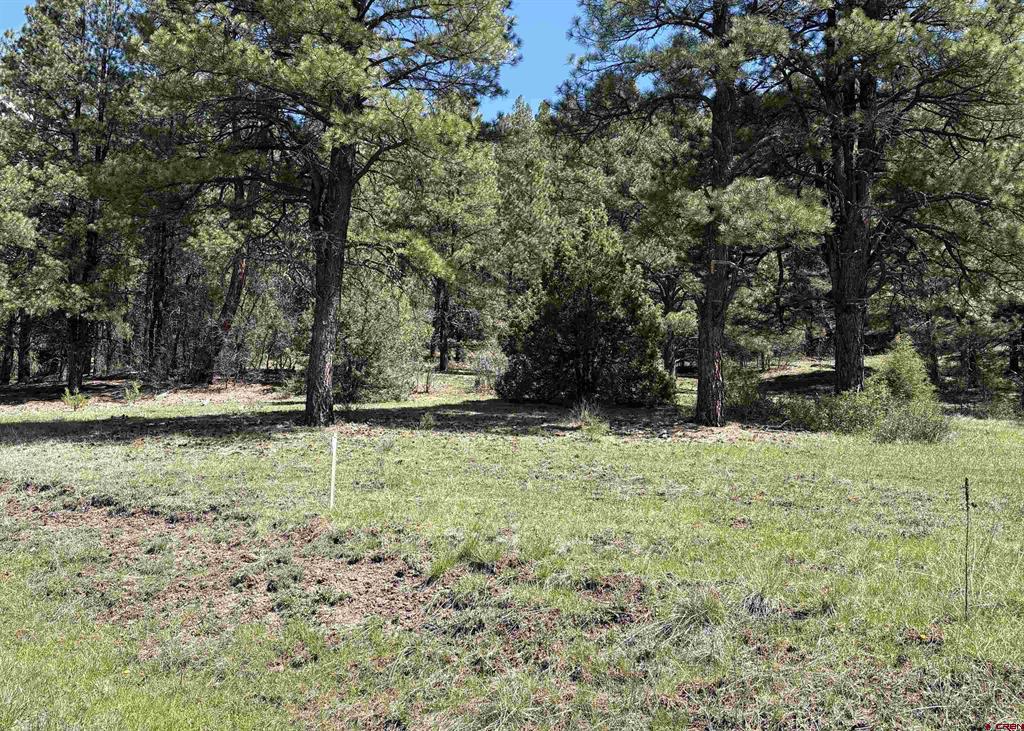 X Winterwood Pagosa Springs CO 81147