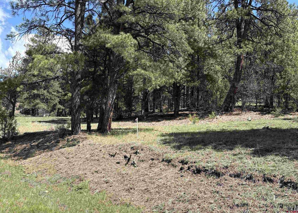 X Winterwood Pagosa Springs CO 81147