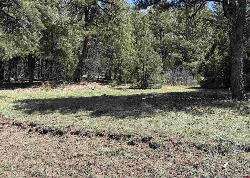 X Winterwood Pagosa Springs CO 81147