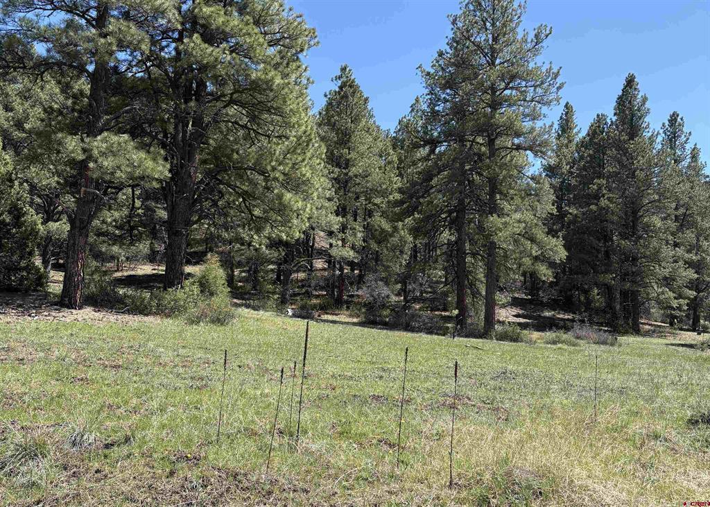 X Winterwood Pagosa Springs CO 81147