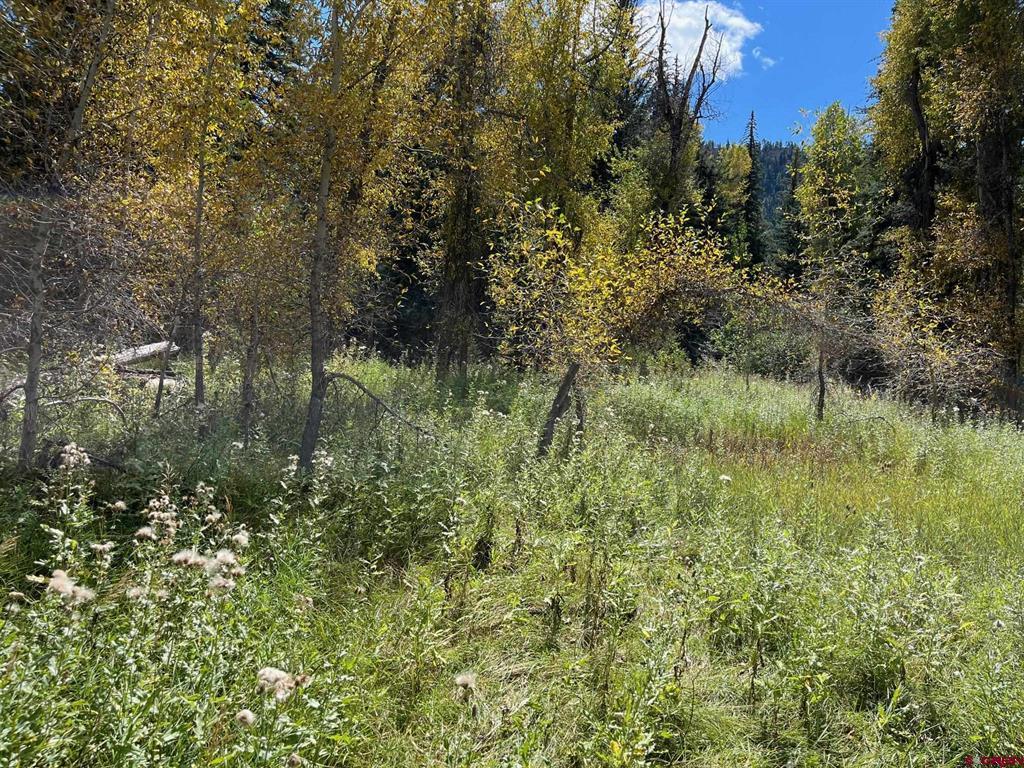 13544 County Road 240 Durango CO 81301
