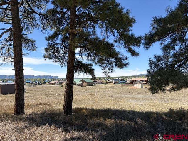 578 Midiron Avenue Pagosa Springs CO 81147