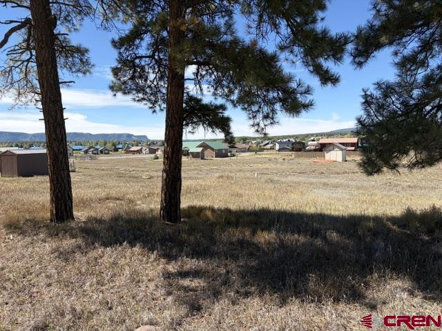 578 Midiron Avenue Pagosa Springs CO 81147
