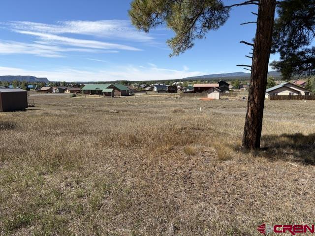 578 Midiron Avenue Pagosa Springs CO 81147