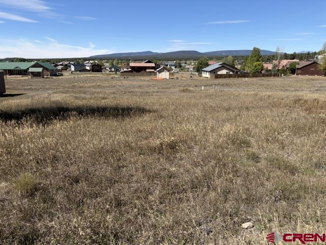 578 Midiron Avenue Pagosa Springs CO 81147