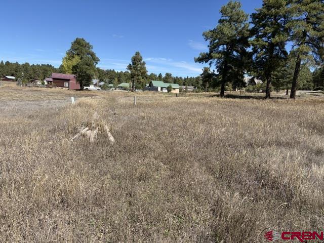 578 Midiron Avenue Pagosa Springs CO 81147