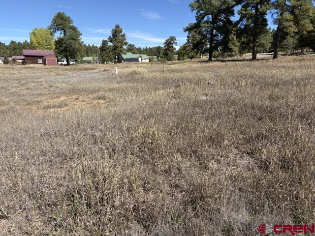 578 Midiron Avenue Pagosa Springs CO 81147