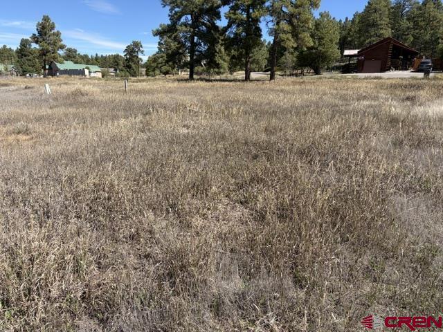 578 Midiron Avenue Pagosa Springs CO 81147