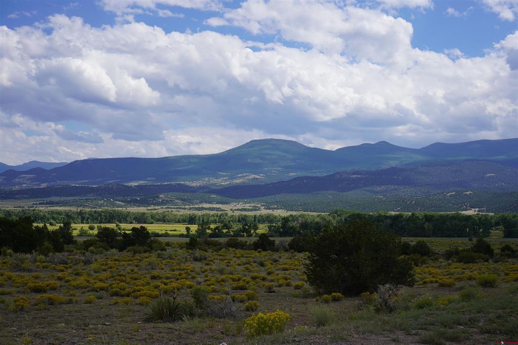 704 W Pfieffer Loop South Fork CO 81154