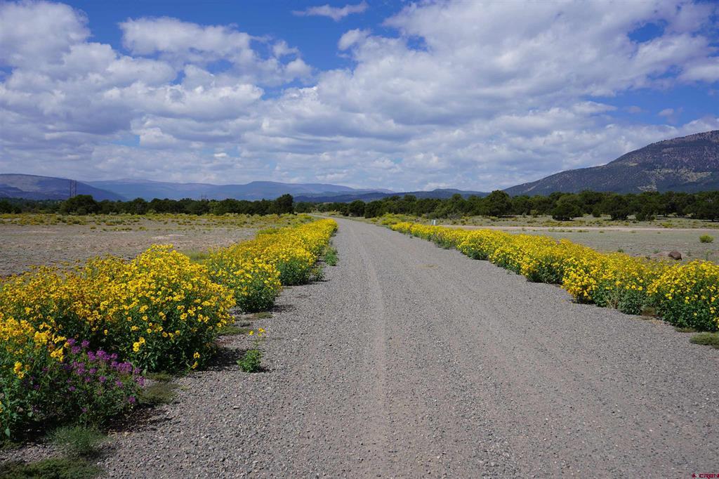 704 W Pfieffer Loop South Fork CO 81154