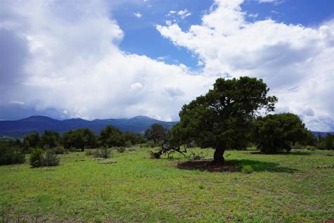 704 Pfieffer Loop South Fork CO 81154