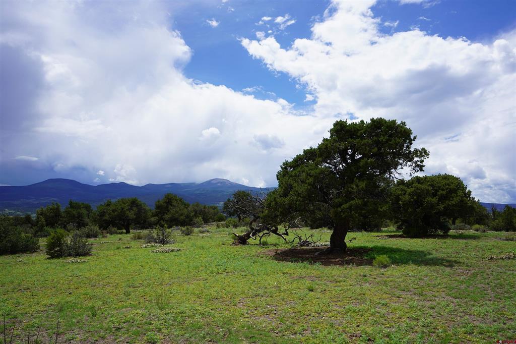 704 W Pfieffer Loop South Fork CO 81154