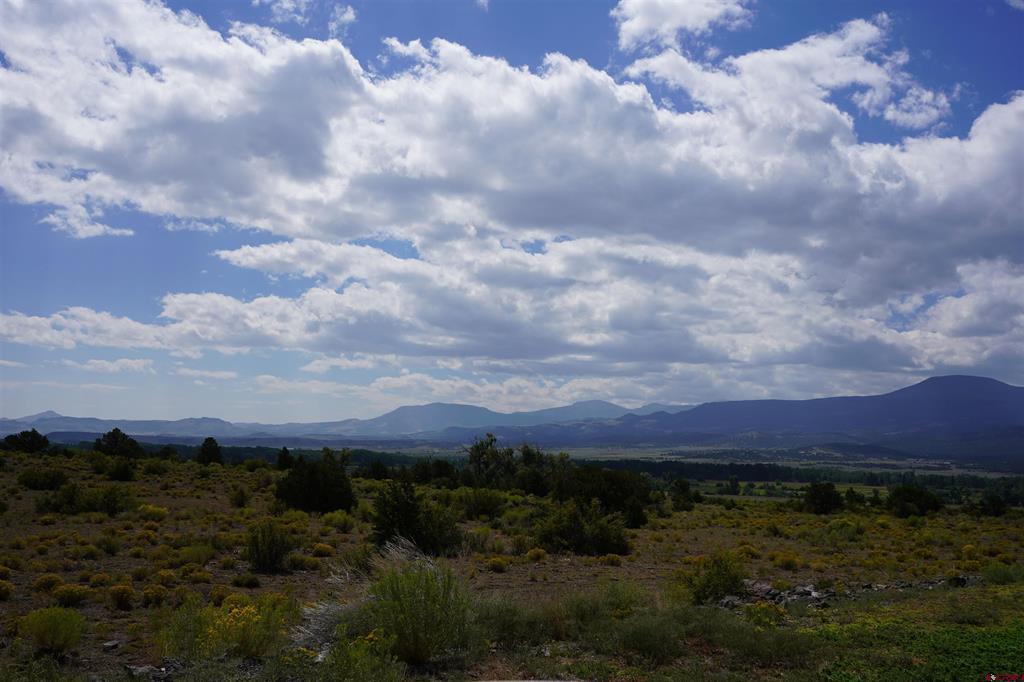 704 W Pfieffer Loop South Fork CO 81154