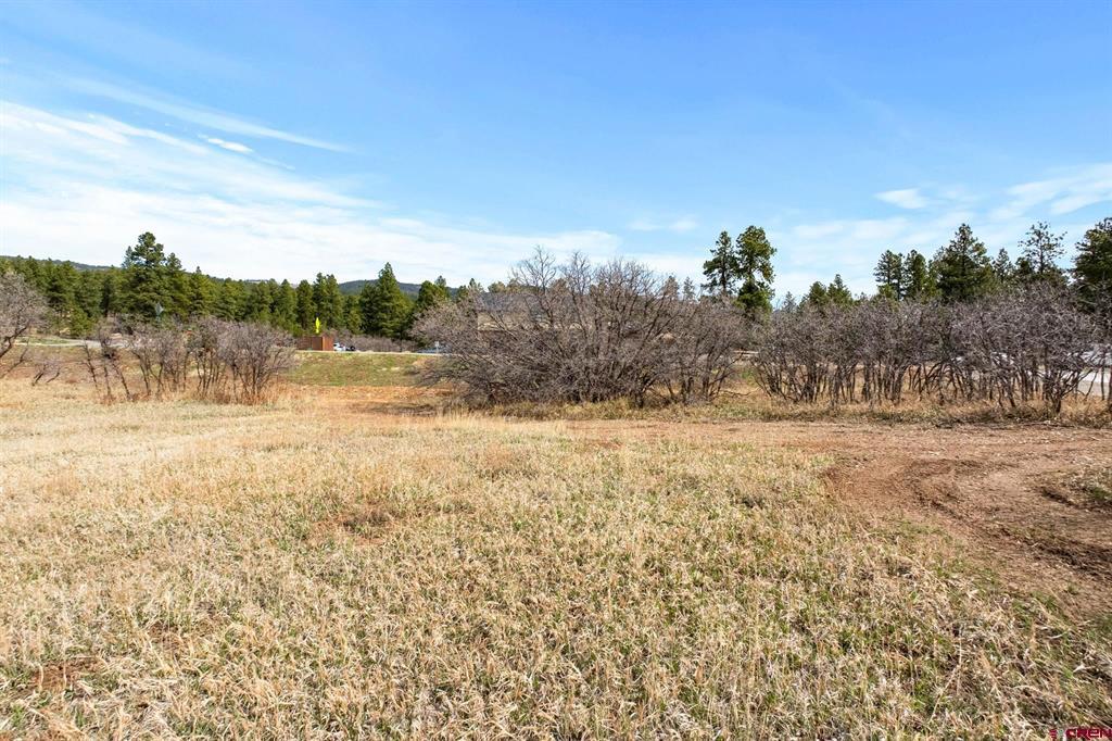 671 Edgemont Meadows Road Durango CO 81301