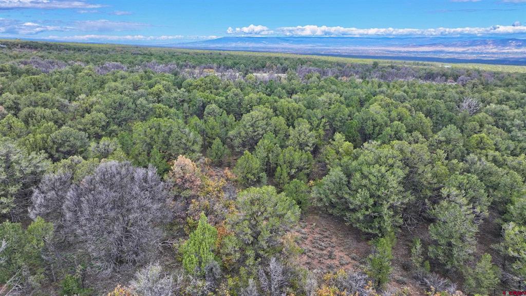 1190 Canyon Ridge Road Montrose CO 81403