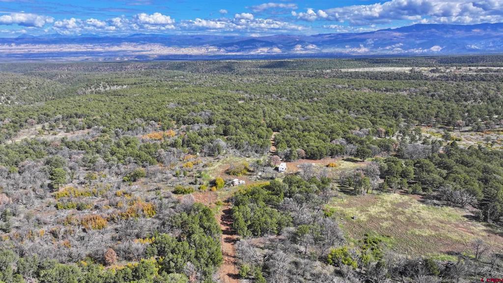 1190 Canyon Ridge Road Montrose CO 81403