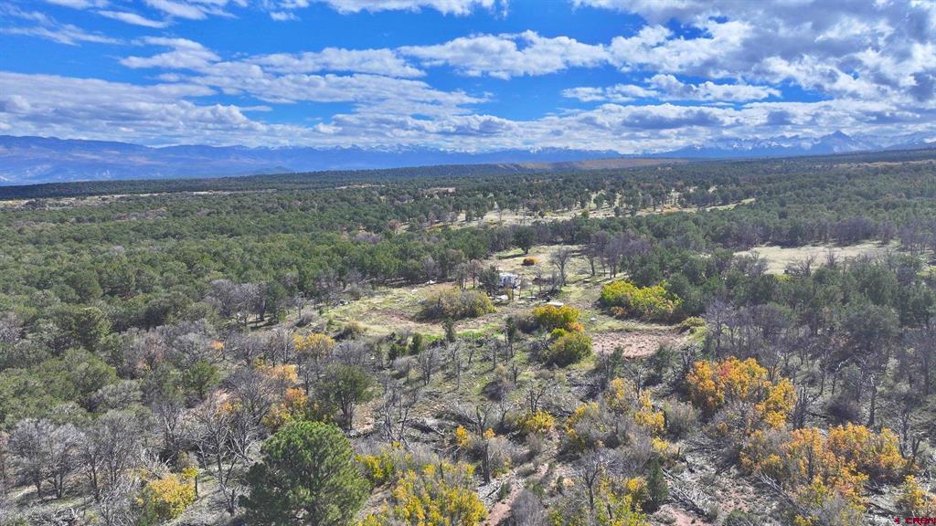 1190 Canyon Ridge Road Montrose CO 81403