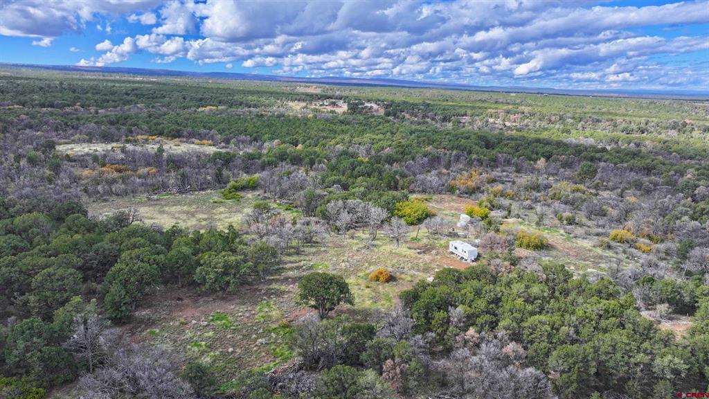 1190 Canyon Ridge Road Montrose CO 81403